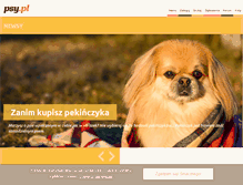 Tablet Screenshot of amigo.koty.pl